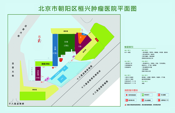 骚逼黑丝操逼视频网站北京市朝阳区桓兴肿瘤医院平面图